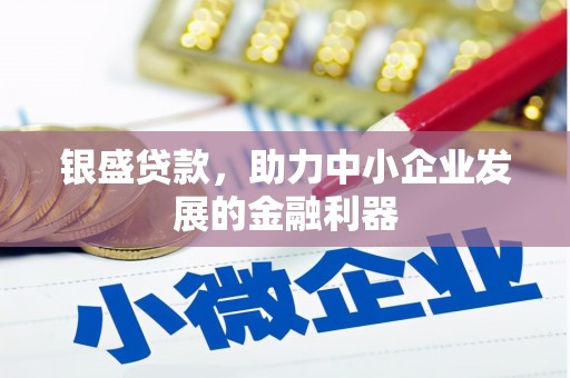 循化银盛贷款，助力中小企业发展的金融利器