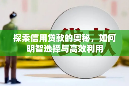 循化探索信用贷款的奥秘，如何明智选择与高效利用