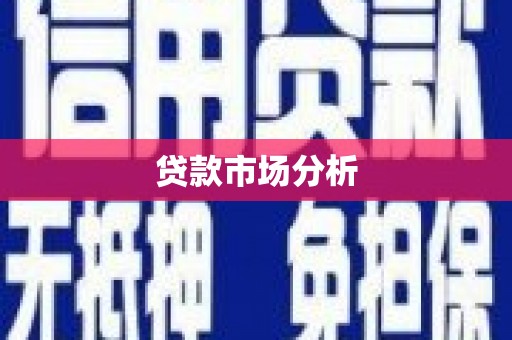 循化贷款市场分析