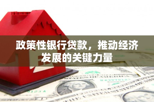 循化政策性银行贷款，推动经济发展的关键力量