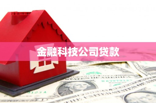 循化金融科技公司贷款