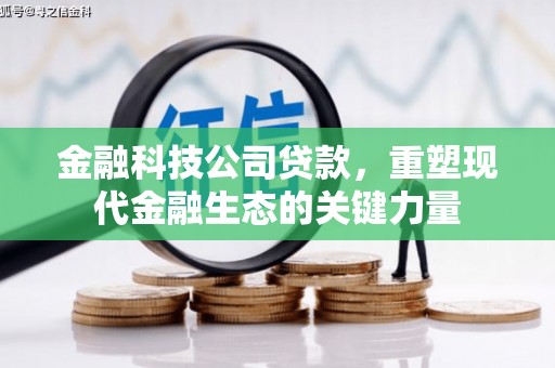 循化金融科技公司贷款，重塑现代金融生态的关键力量
