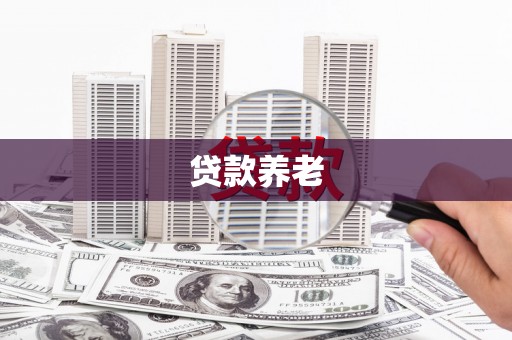 循化贷款养老