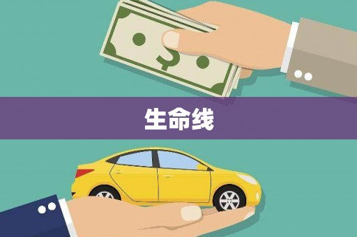 循化生命线