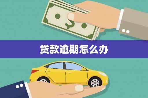 循化贷款逾期怎么办