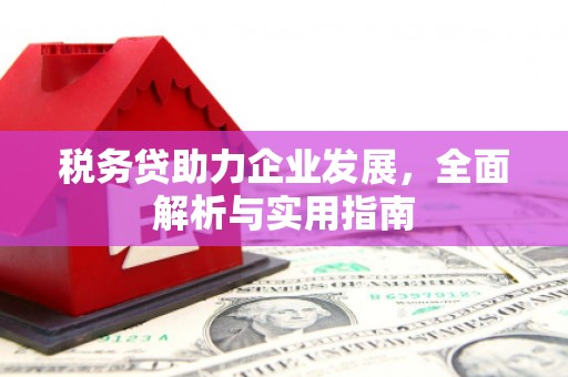 循化税务贷助力企业发展，全面解析与实用指南