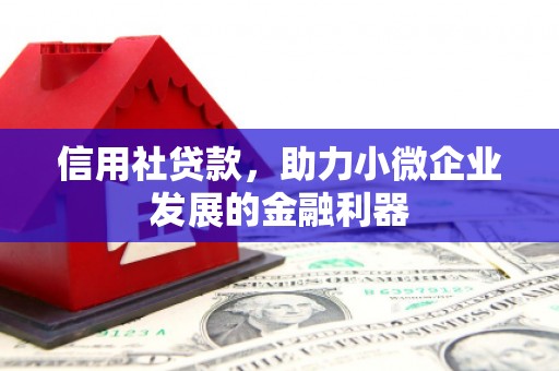 循化信用社贷款，助力小微企业发展的金融利器