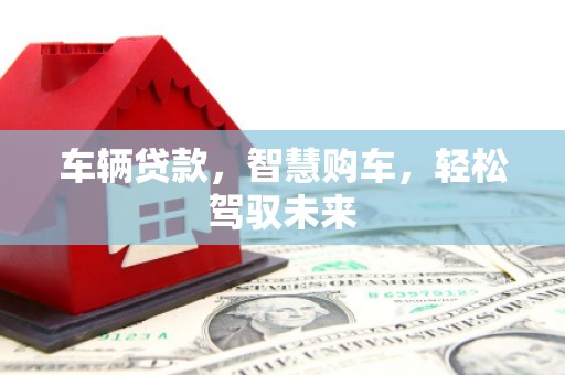 循化车辆贷款，智慧购车，轻松驾驭未来