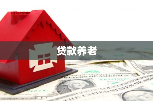 循化贷款养老