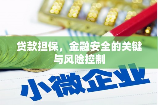 循化贷款担保，金融安全的关键与风险控制