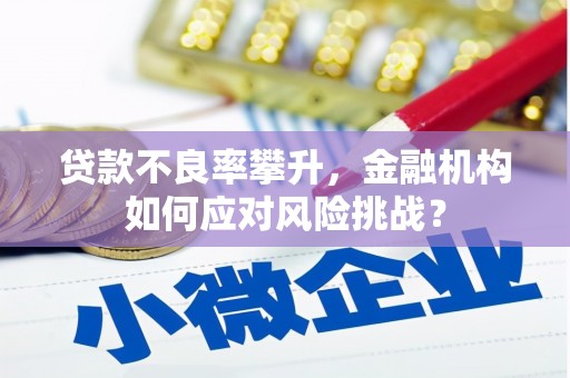 循化贷款不良率攀升，金融机构如何应对风险挑战？