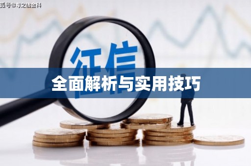 循化全面解析与实用技巧