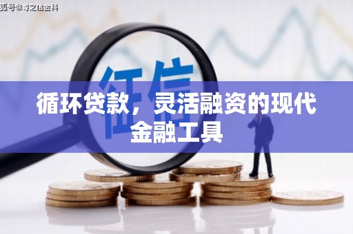 循化循环贷款，灵活融资的现代金融工具