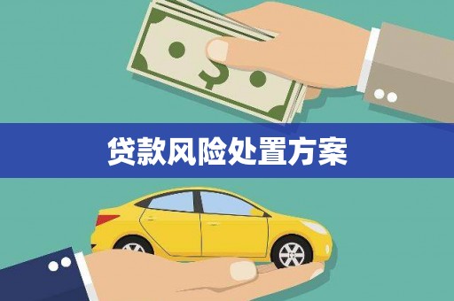 循化贷款风险处置方案