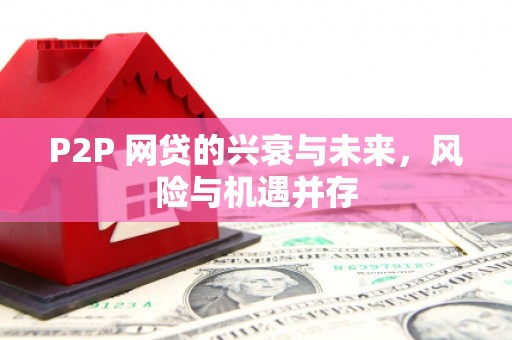 循化P2P 网贷的兴衰与未来，风险与机遇并存