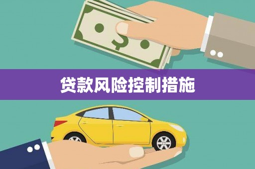 循化贷款风险控制措施