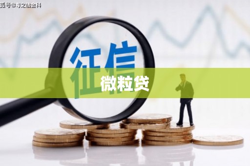 循化微粒贷