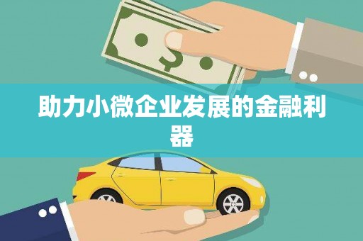循化助力小微企业发展的金融利器