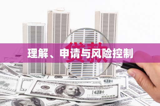 循化理解、申请与风险控制