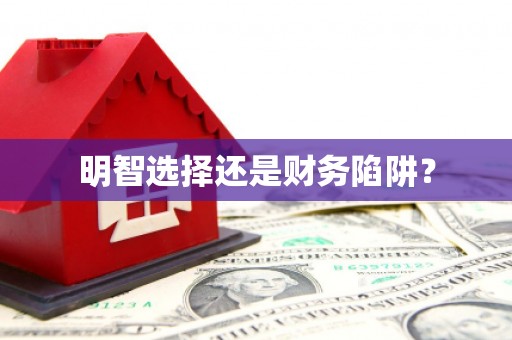 循化明智选择还是财务陷阱？