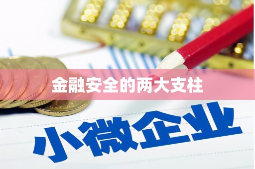 循化金融安全的两大支柱