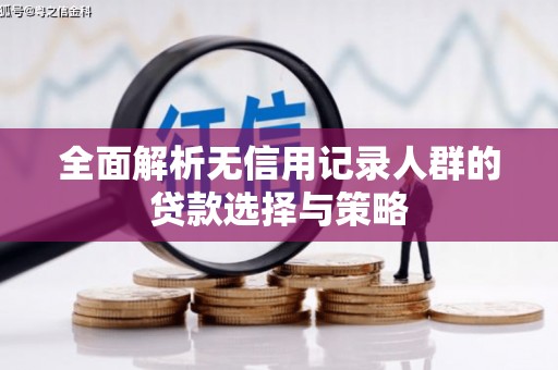 循化全面解析无信用记录人群的贷款选择与策略