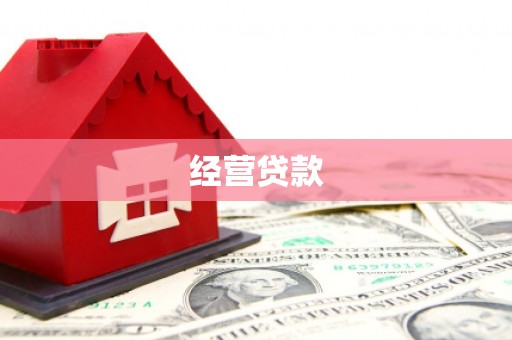 循化经营贷款