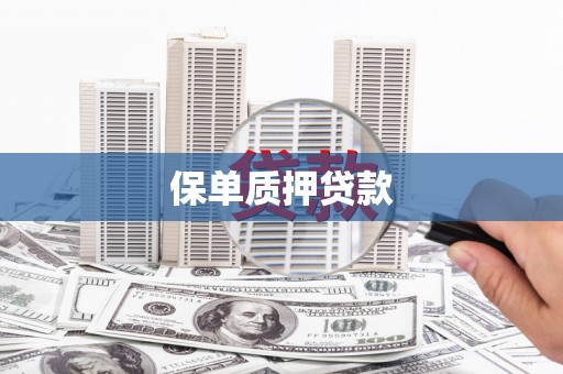 循化保单质押贷款