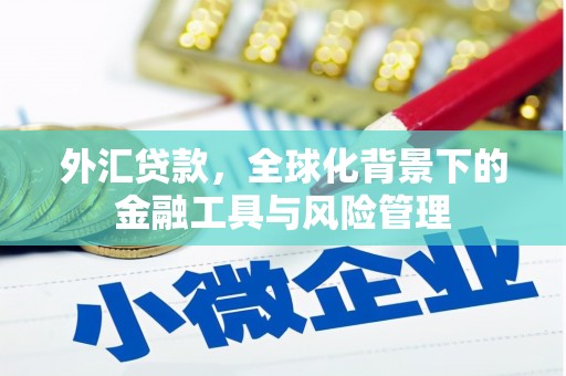 循化外汇贷款，全球化背景下的金融工具与风险管理
