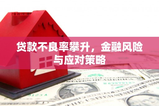 循化贷款不良率攀升，金融风险与应对策略