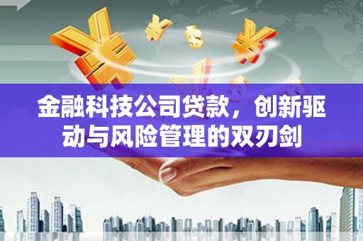 循化金融科技公司贷款，创新驱动与风险管理的双刃剑